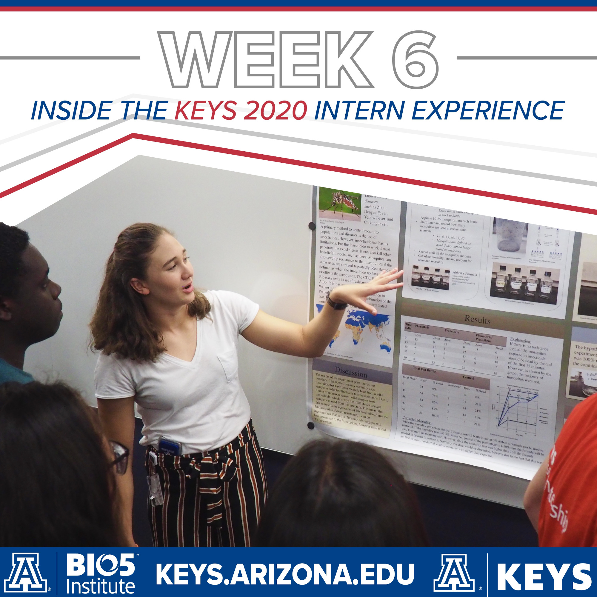 KEYS Check-In – Week 6 | Keep Engaging Youth in Science (KEYS)