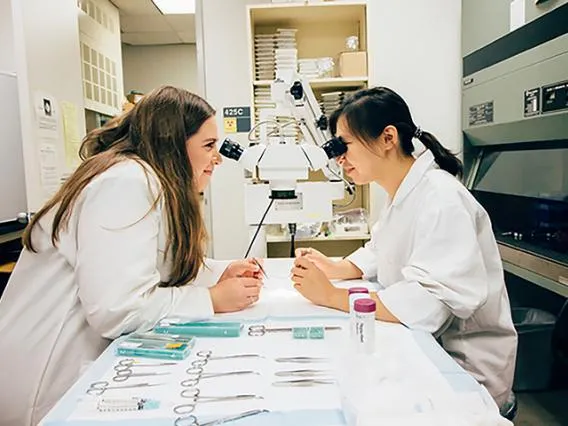 KEYS Lab Mentors
