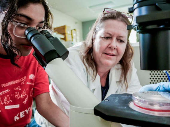 KEYS student looks into a microscope as a University of Arizona researcher supervises