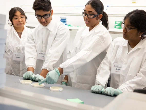 Four students working together in a science lab, examining a petri dish.