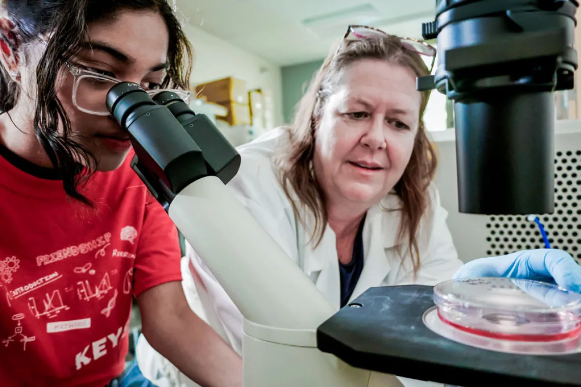 KEYS student looks into a microscope as a University of Arizona researcher supervises