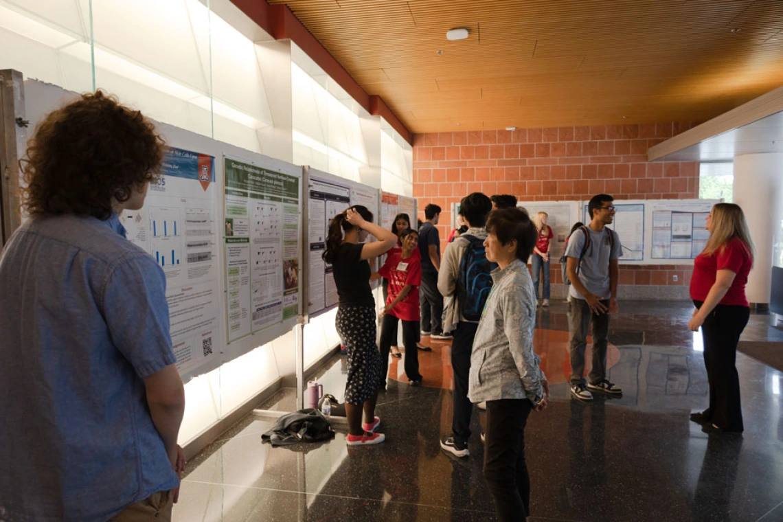People viewing and presenting research posters in a university hallway.