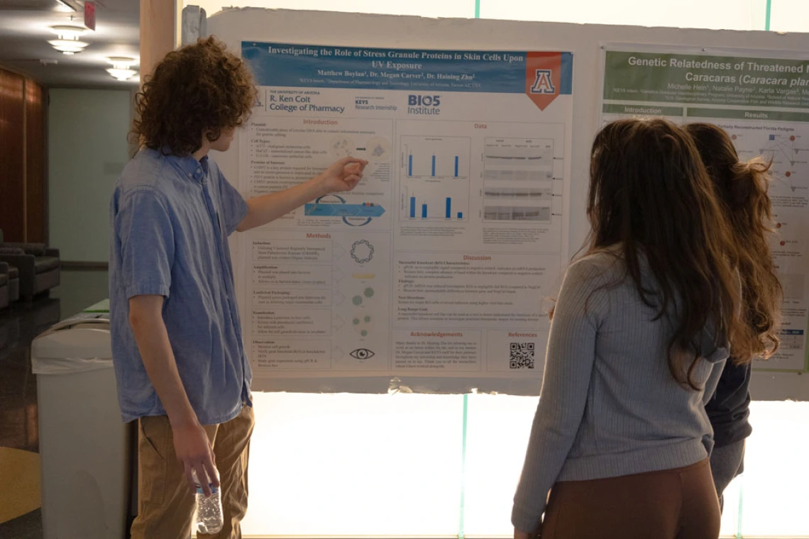 Two individuals examining a scientific poster presentation at a University of Arizona event. The poster contains graphical data and text information.