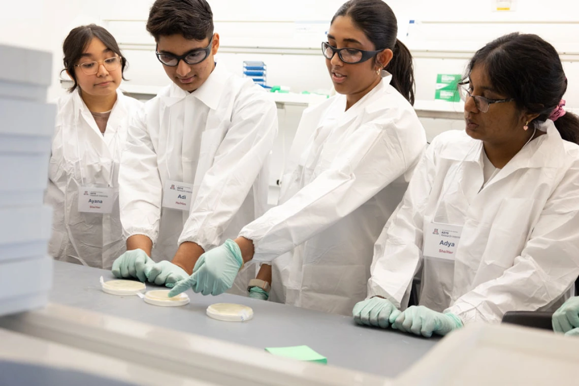 Four students working together in a science lab, examining a petri dish.