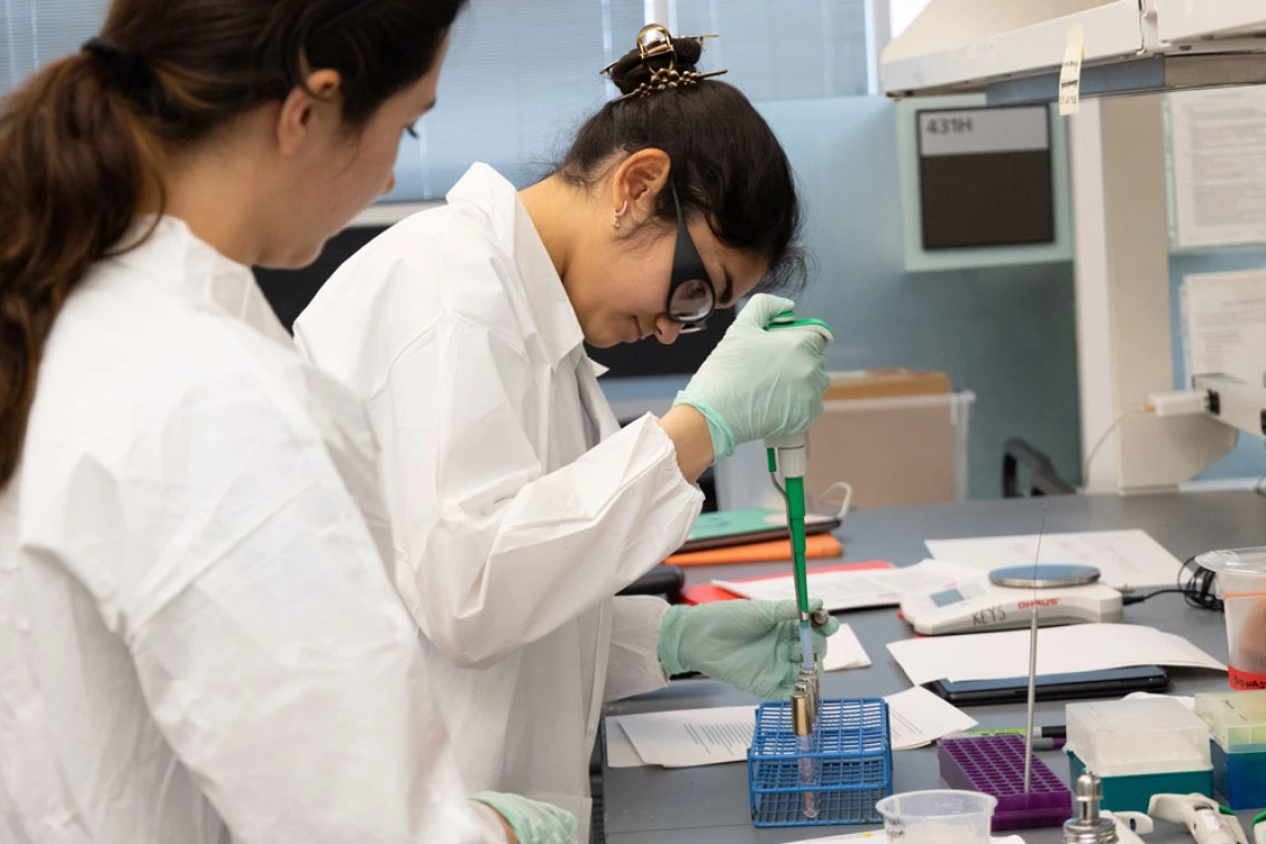 Two scientists in lab coats working with test tubes and other laboratory equipment in a lab.