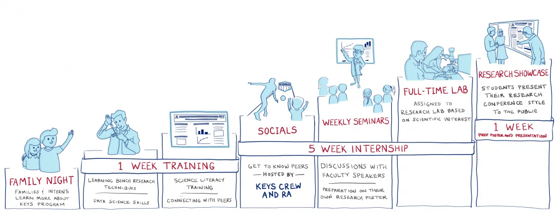 Timeline of the KEYS experience from Family Night to Research Showcase