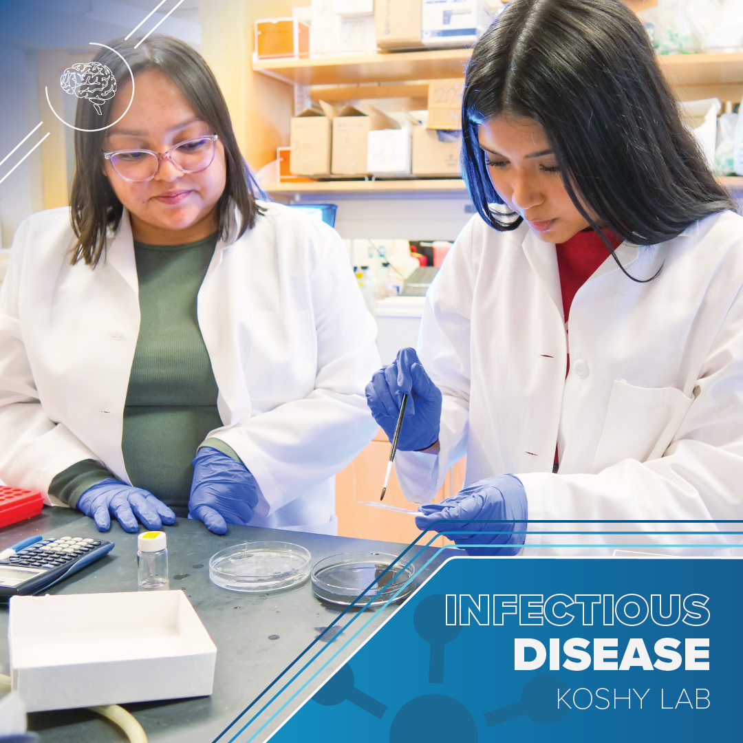 Two women at a lab bench. One of the women wears purple gloves and prepares a laboratory slide. Text reads Infectious Disease Koshy Lab