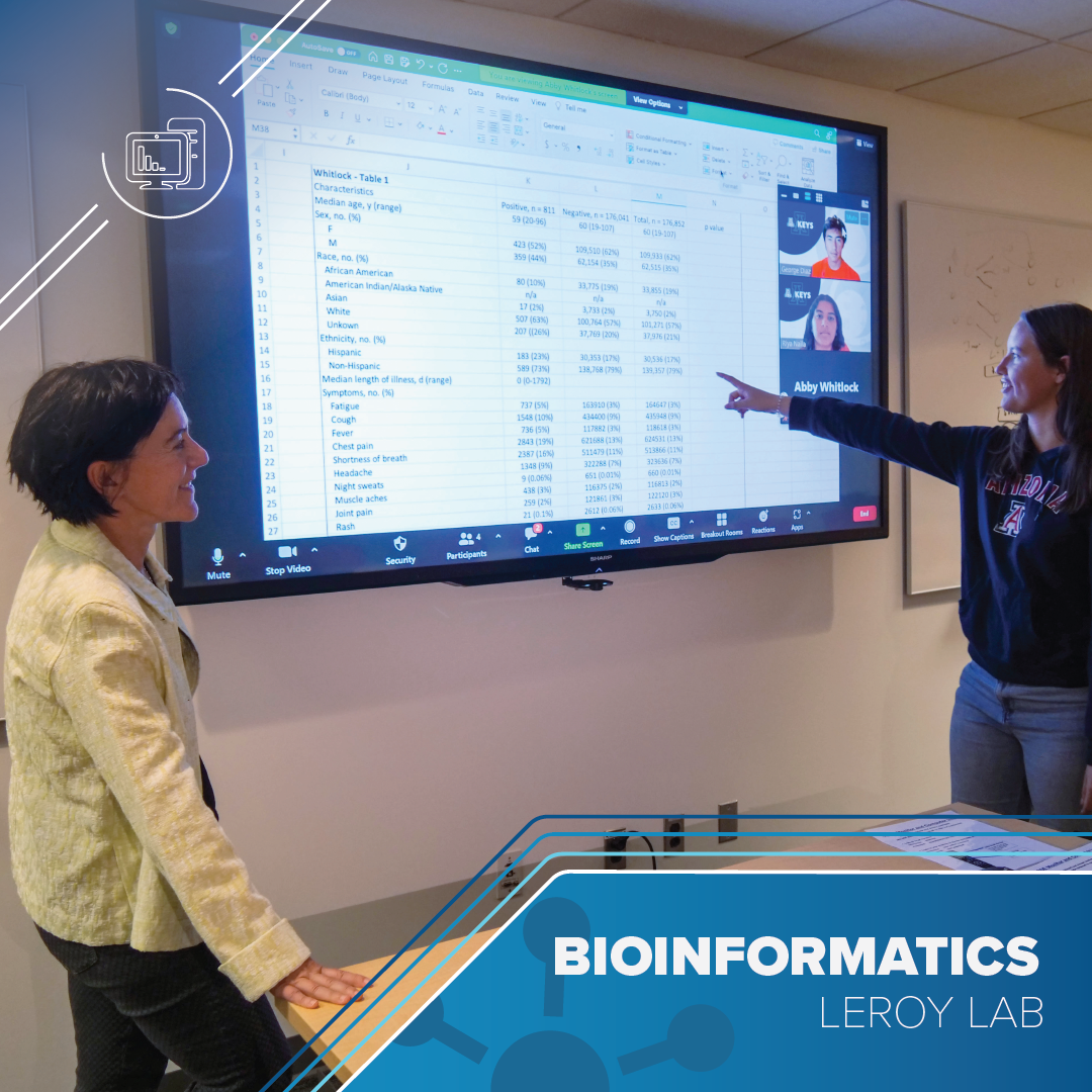 Young woman with long hair and a University of Arizona sweatshirt points at an excel spreadsheet on a large screen. A group of people on the right hand side of the screen listen on Zoom. Text reads Bioinformatics Leroy Lab
