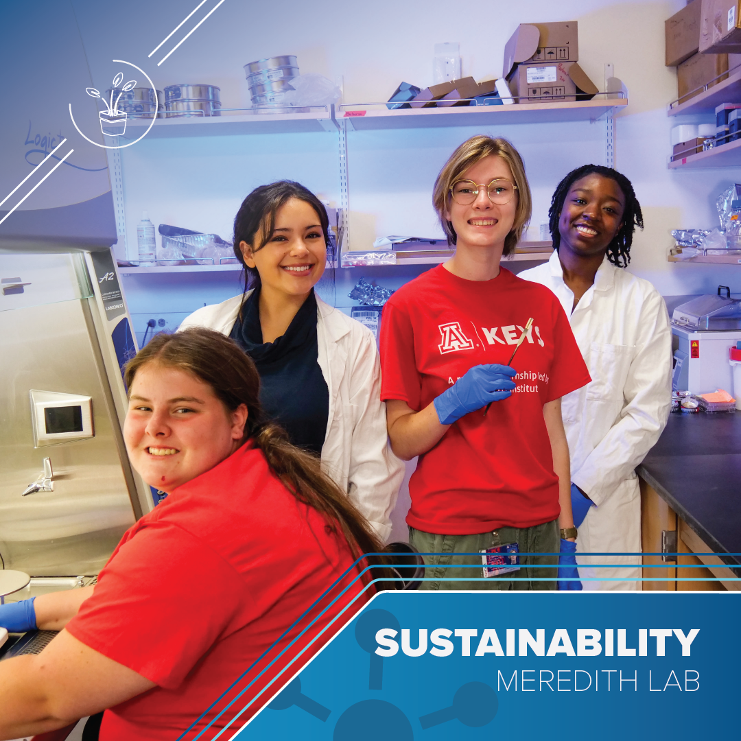 Group of young scientists stand in a lab space. One in a red shirt sits in front of a fume hood. Another in a red shirt with the KEYS logo holds a small spatula. Two more stand behind them wearing white lab coats. Text reads Sustainability Meredith Lab