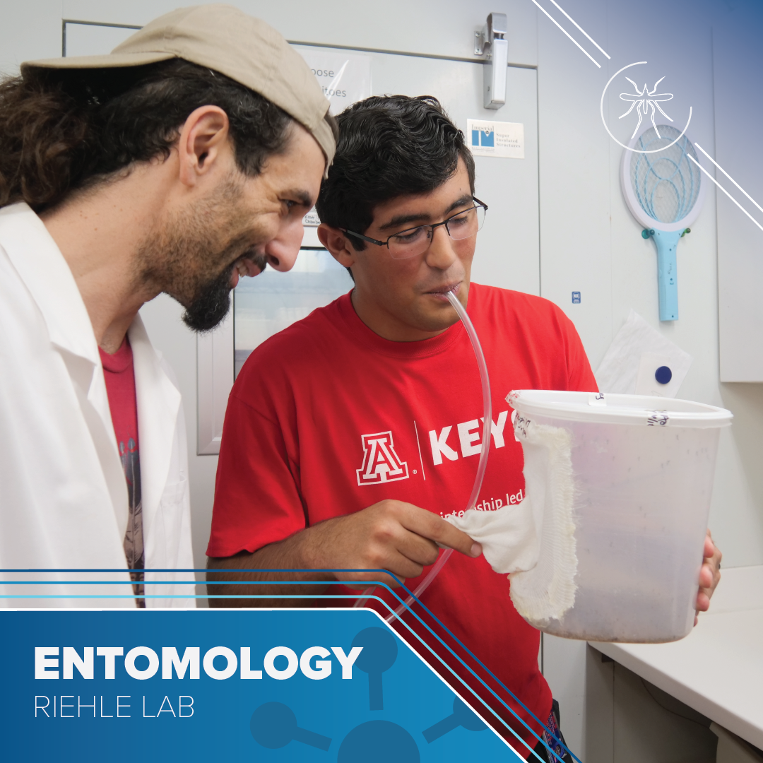 Young man with a red KEYS t-shirt has a tube in his mouth as he holds a bucket with a netting cover. Another man with longer hair and a lab coat smiles as he looks on. Text reads Entomology Riehle Lab