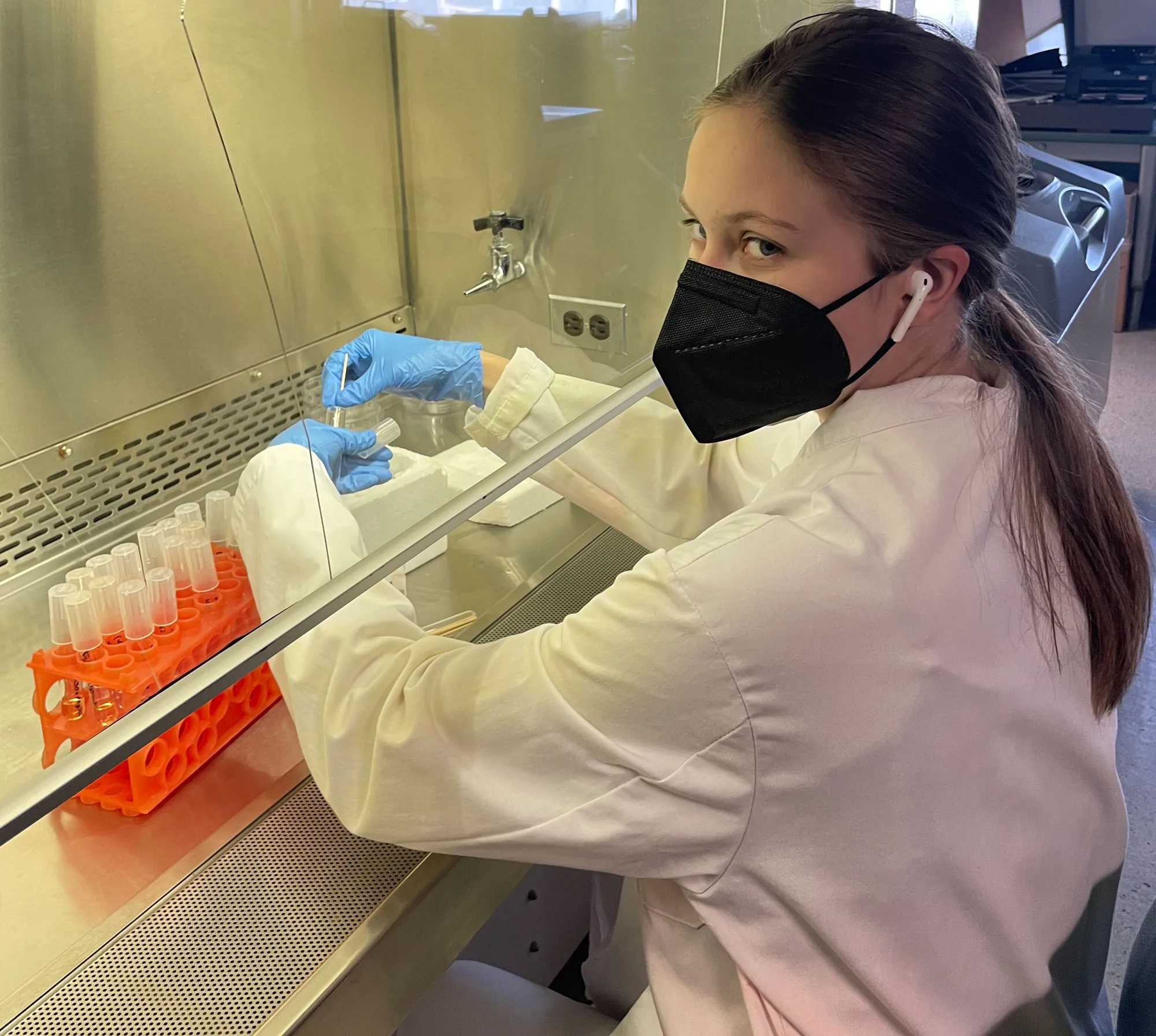 Young woman wearing a black mask and white coats works underneath a scientific fume hood