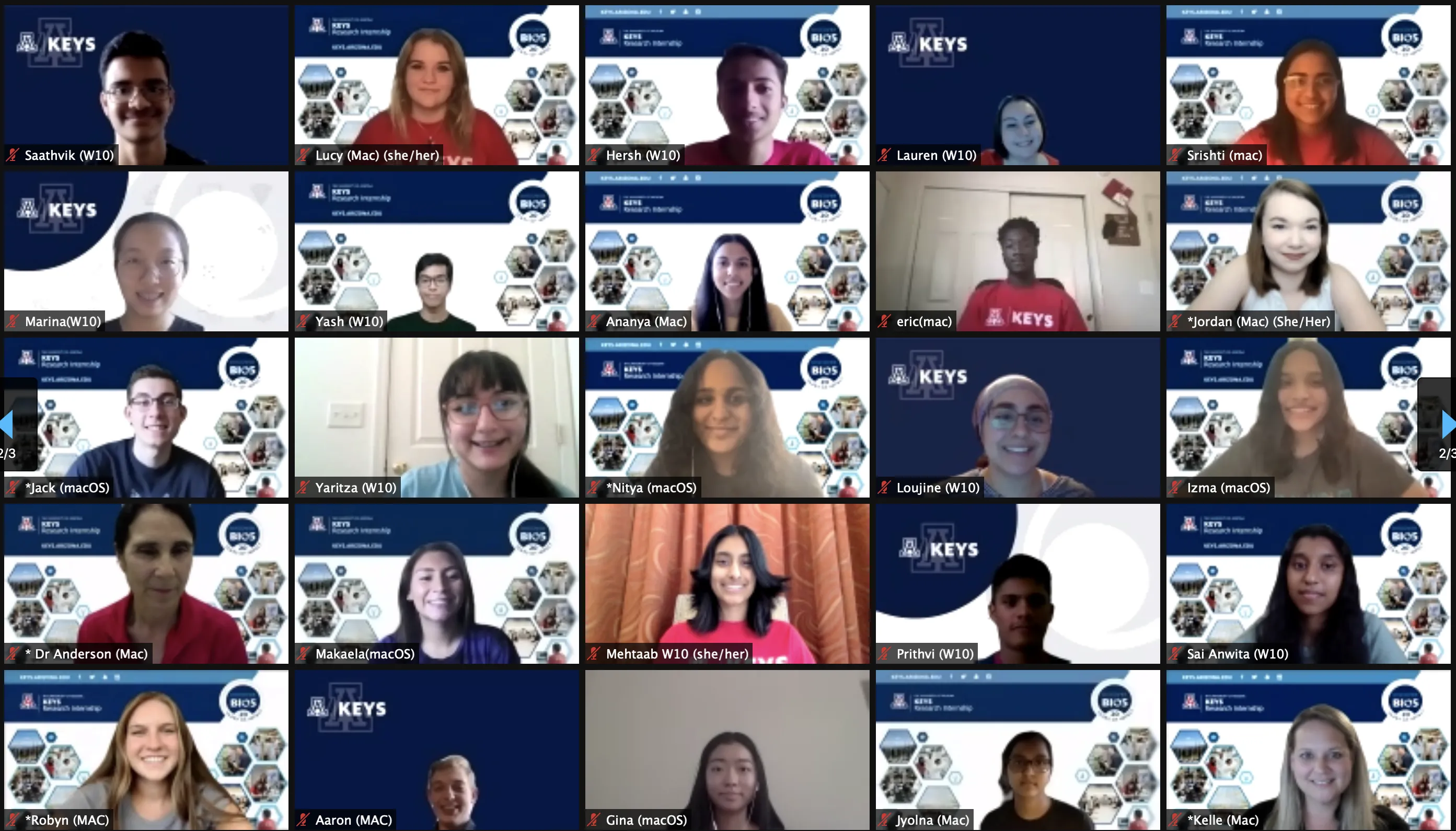 Zoom screenshot of KEYS Research Internship students and staff