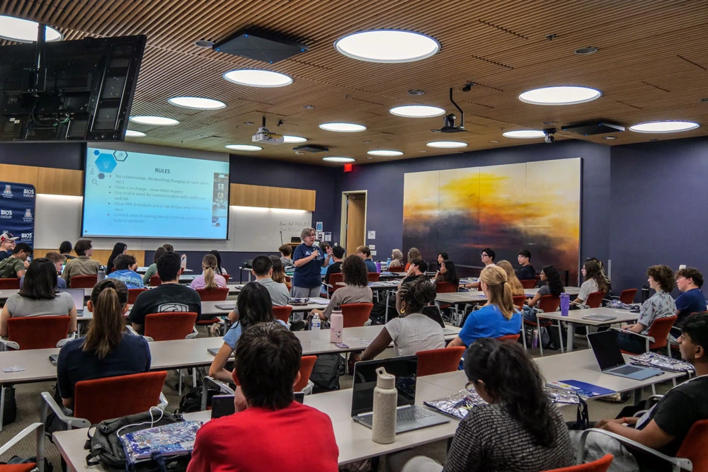 A lecture at a university classroom with students sitting at desks watching a presentation on a screen at the front. The room features modern decor with colorful wall panels and a large abstract painting on the side wall.