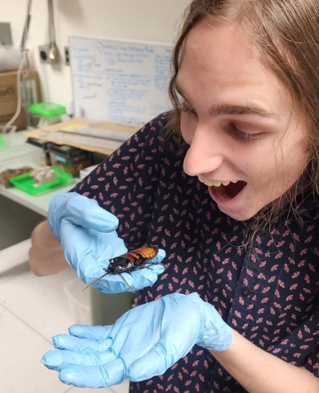 Young person wearing blue gloves looks exciting at a cockroach in his hand