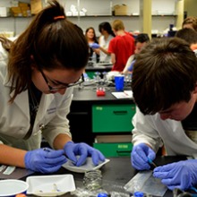 KEYS Students in lab coats performing experiments